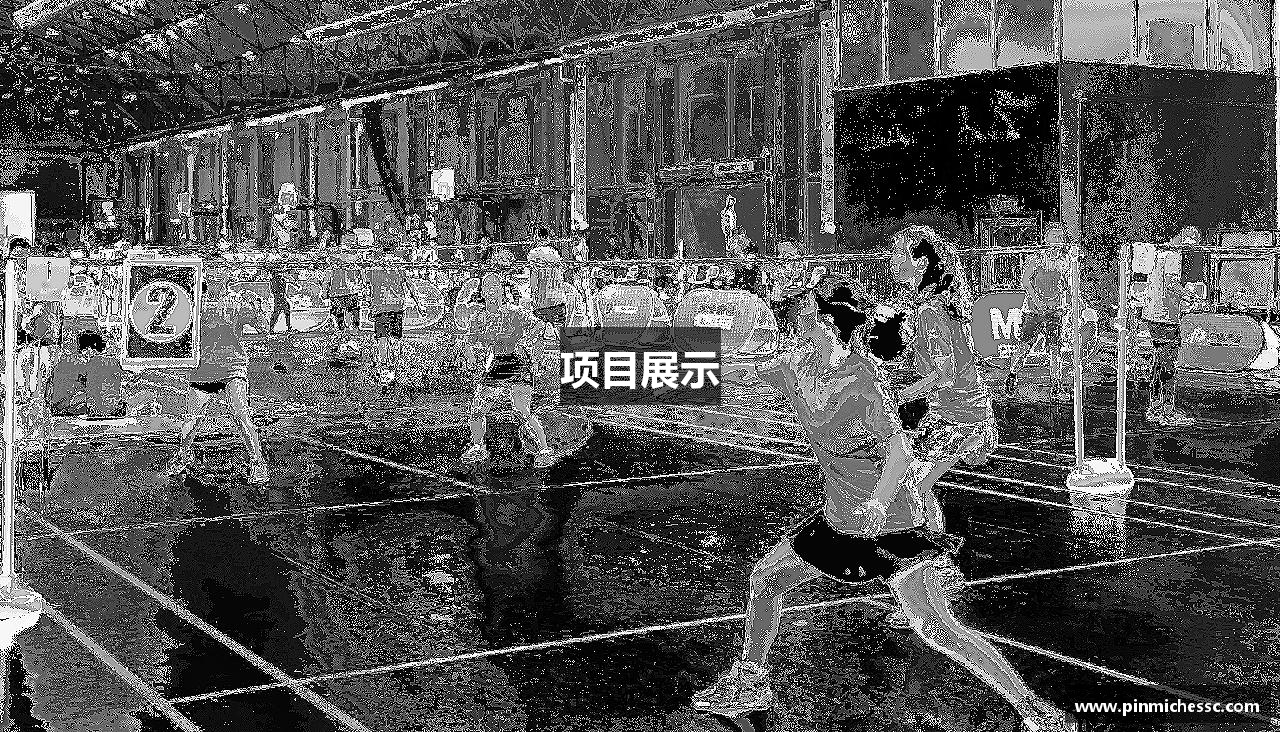 项目展示